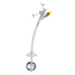 Gastrostomas porti