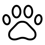 Veterinārija