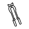 Veterinārā dzemdniecība &amp; ginekoloģija